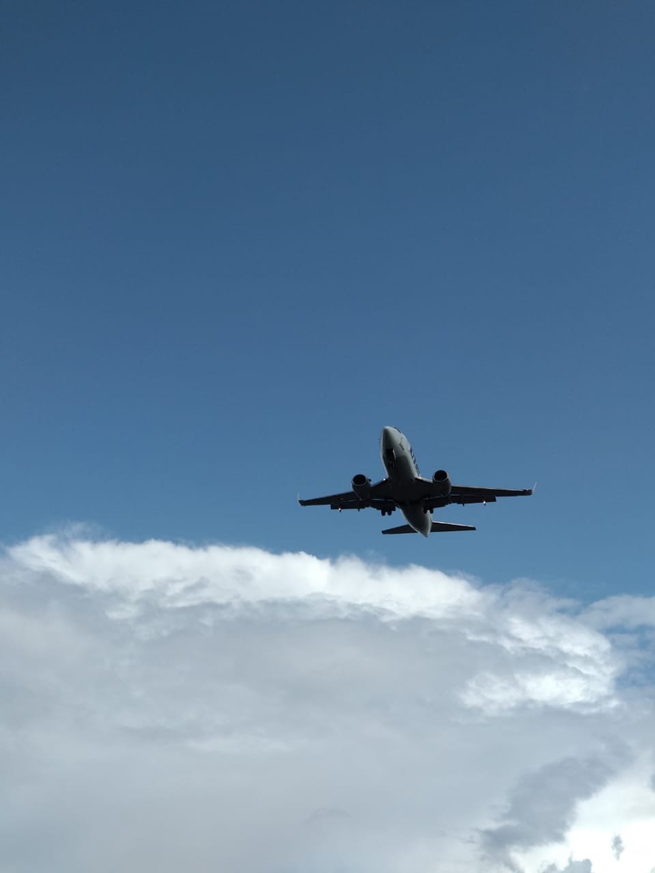 Fly