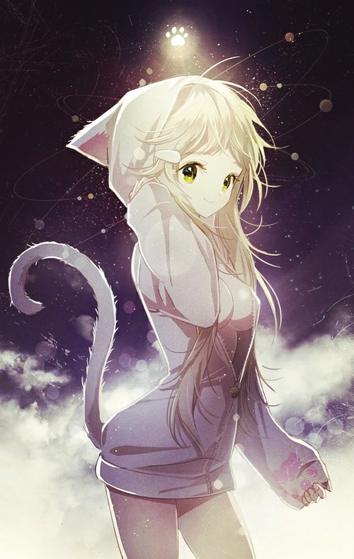 cute neko!
