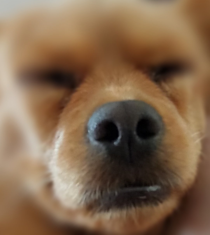 naptime