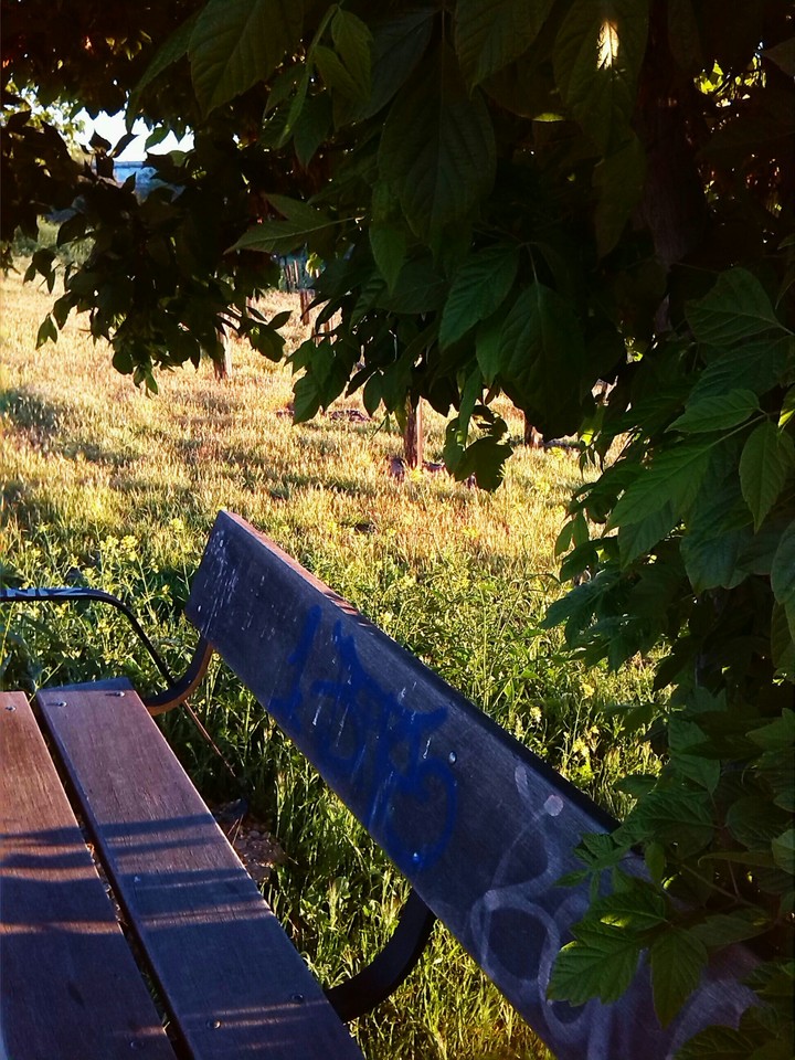 Rest time