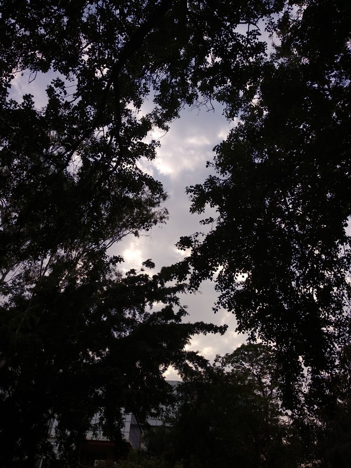 #sky