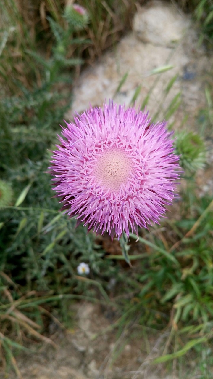 Mert AYDIN