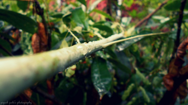 a random click on rainy day