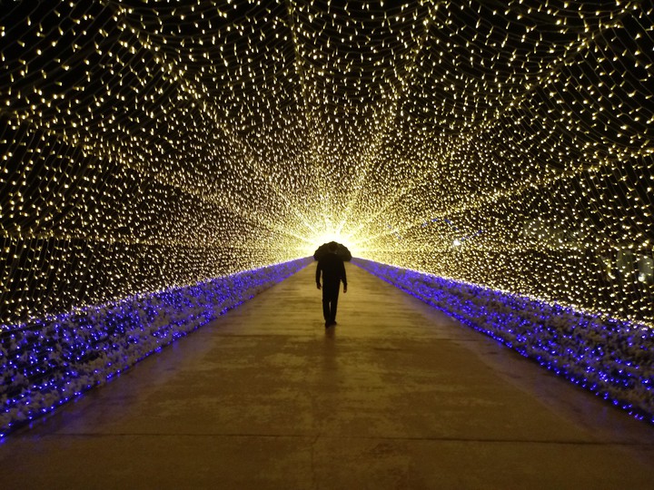 Go to the light