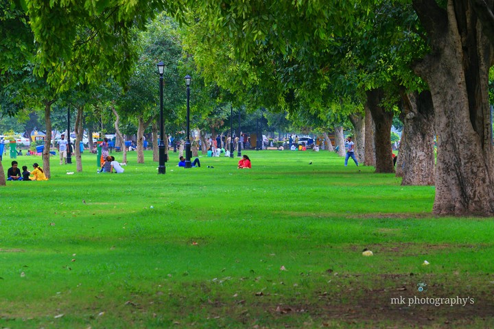 mk photography's