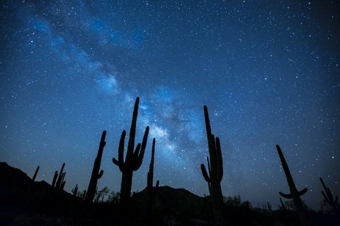Night Sky of Dessert