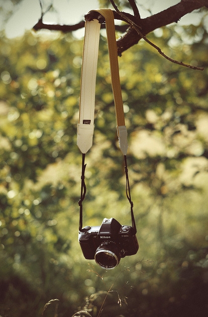 capture with Dslr