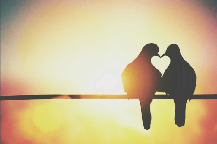 Love S2