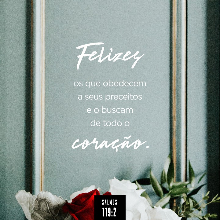 Versículo