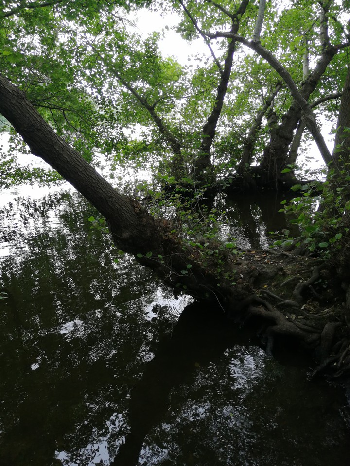 river
