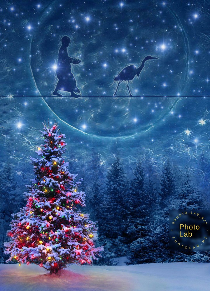 Little, little, little star...