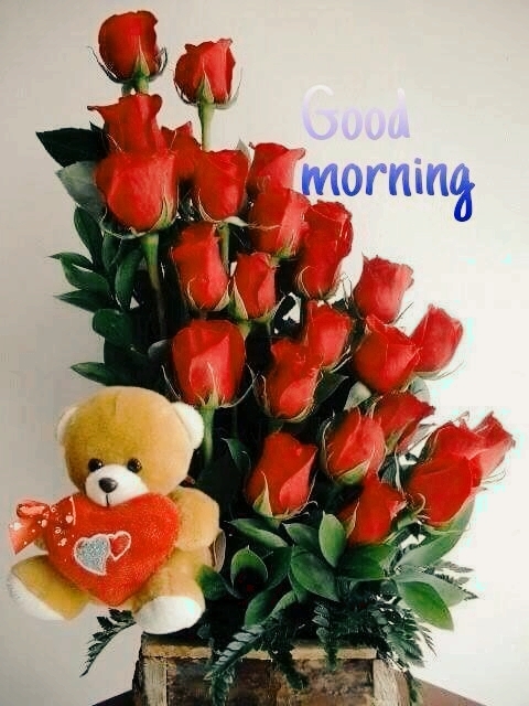 gm