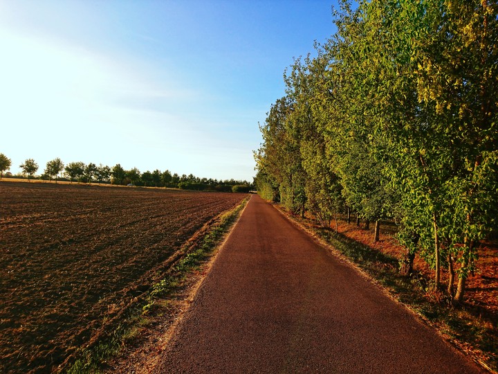 Field