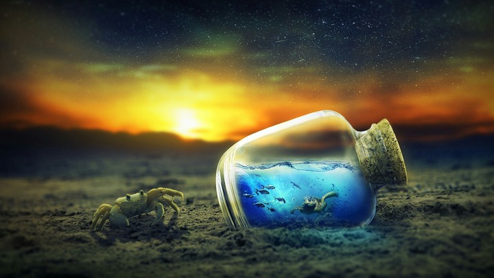 Marine life