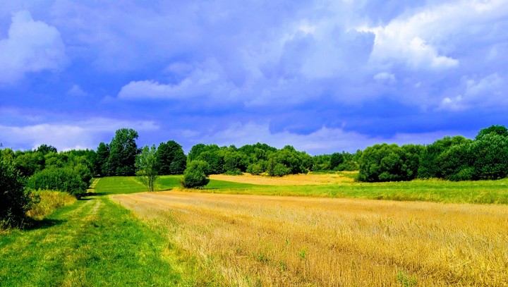 nature