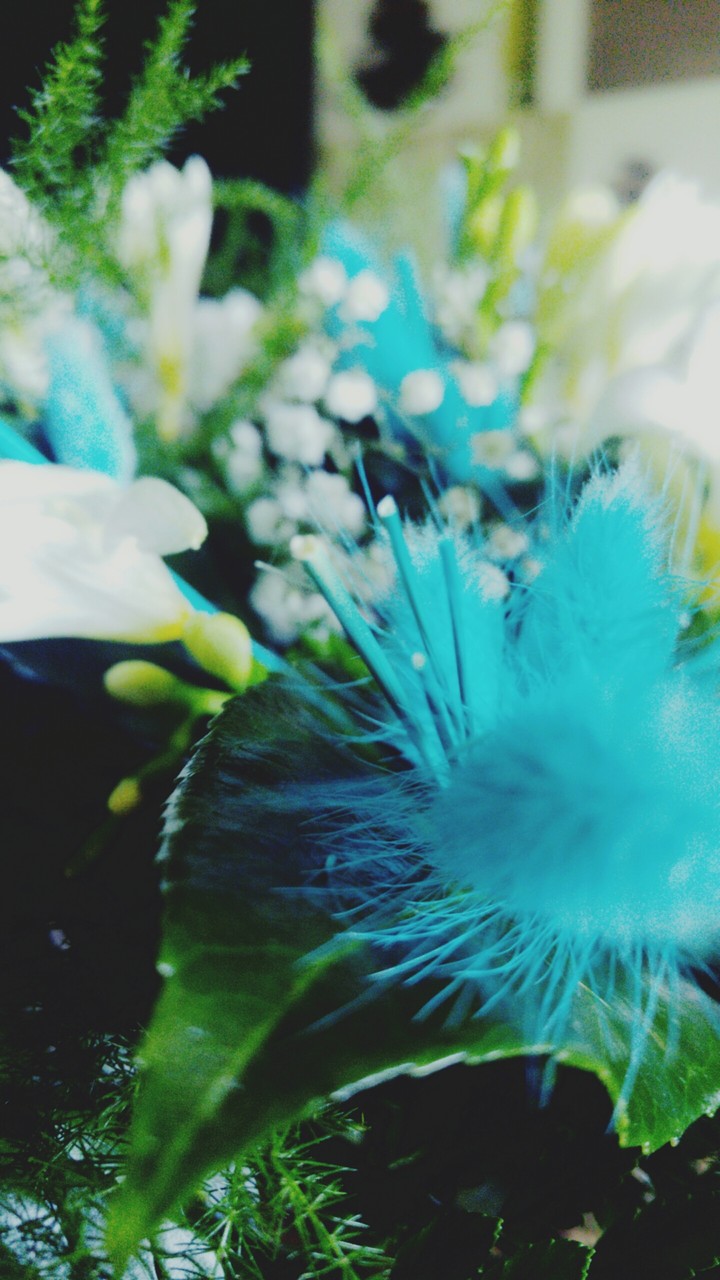 flowers