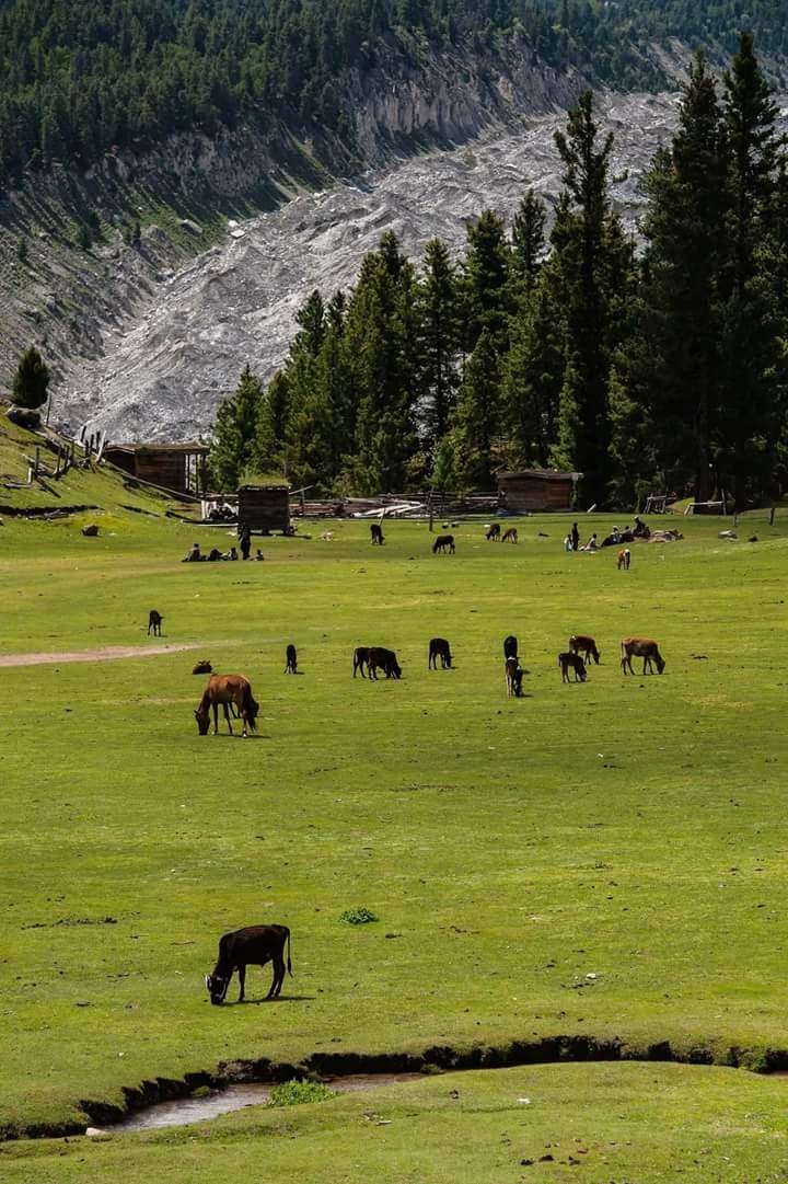 Pakistan