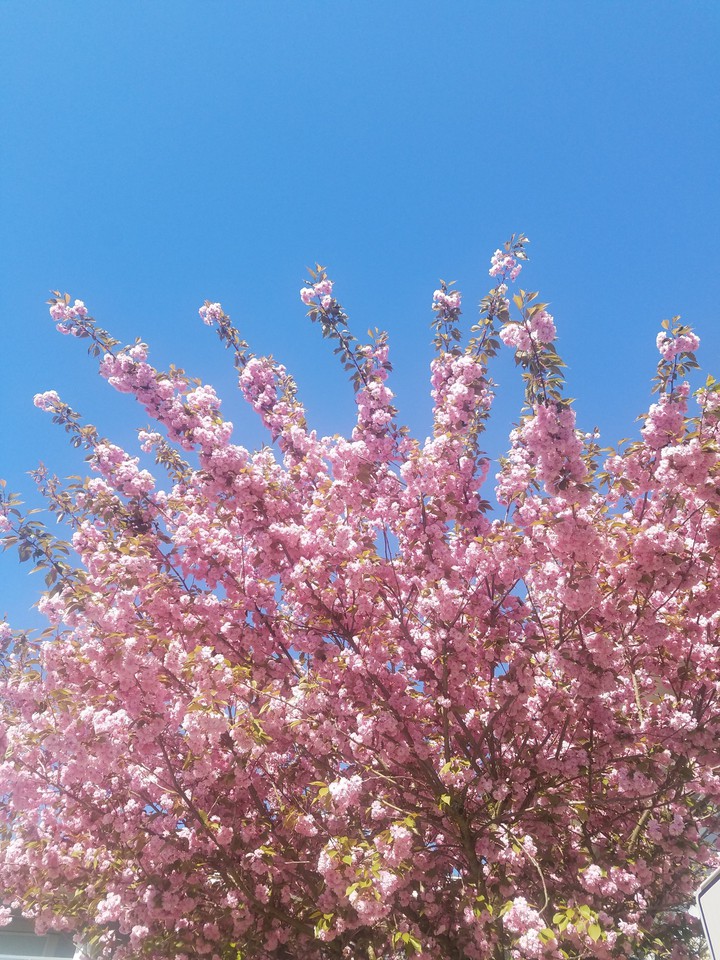 waiting for spring