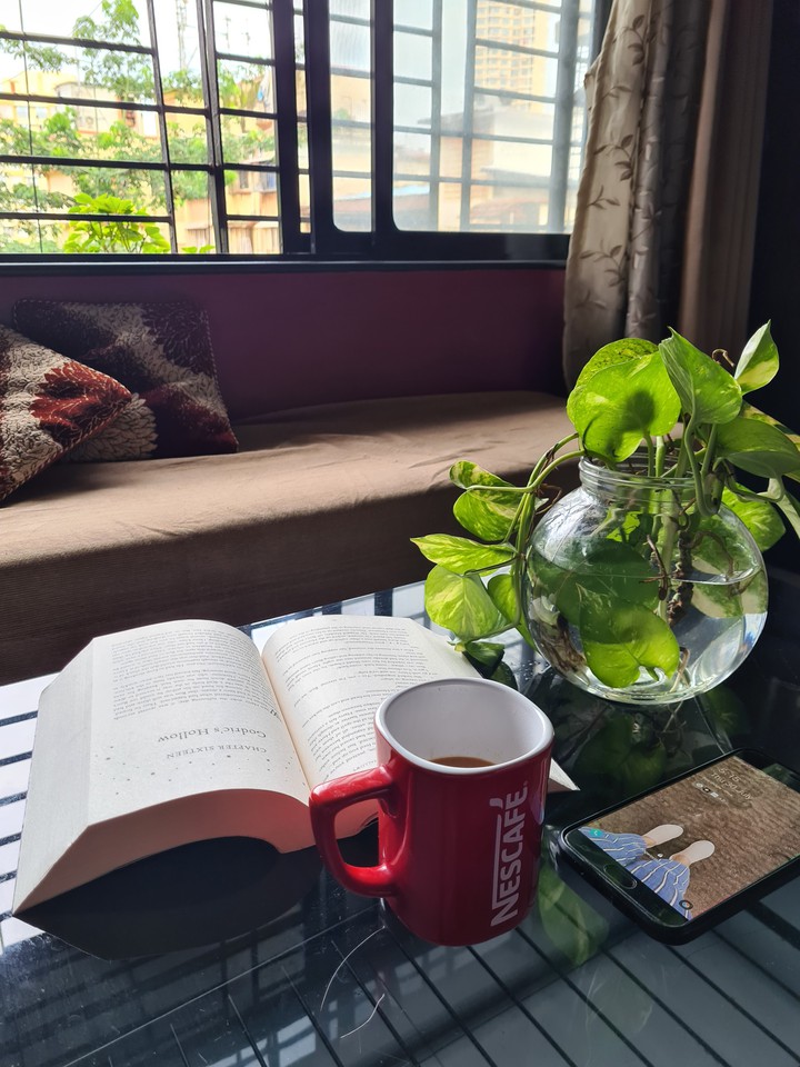peace and a book
