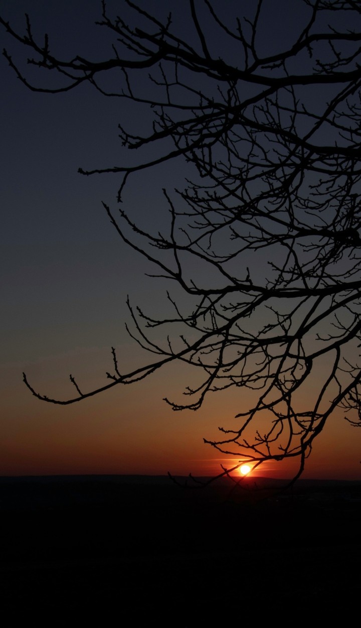 Confused Sunsets
