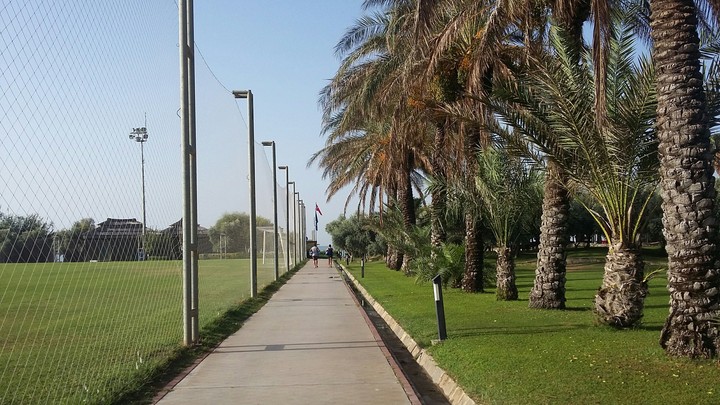 Palm walk
