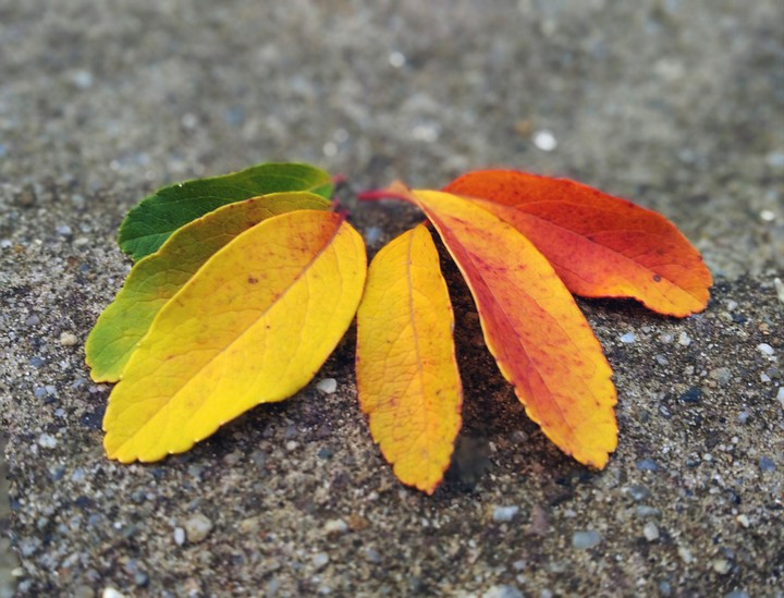 Perpetual Change