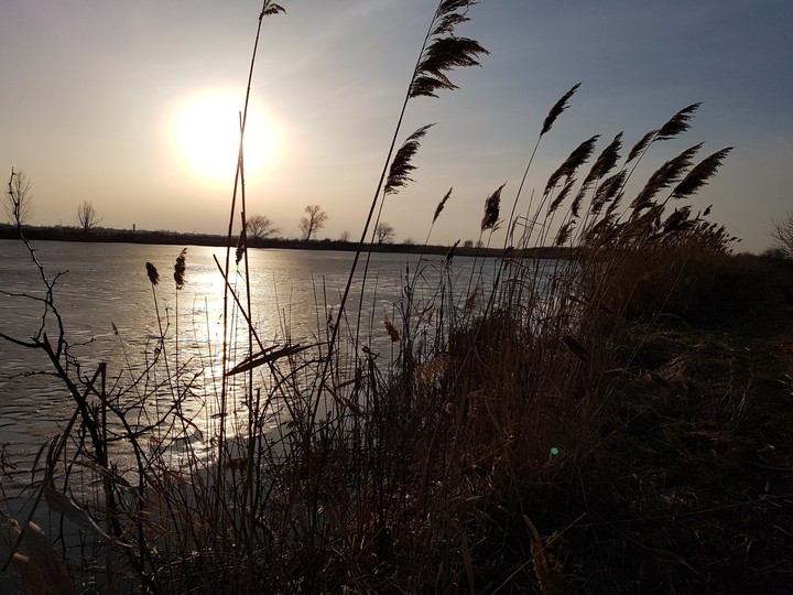Chill by the lake