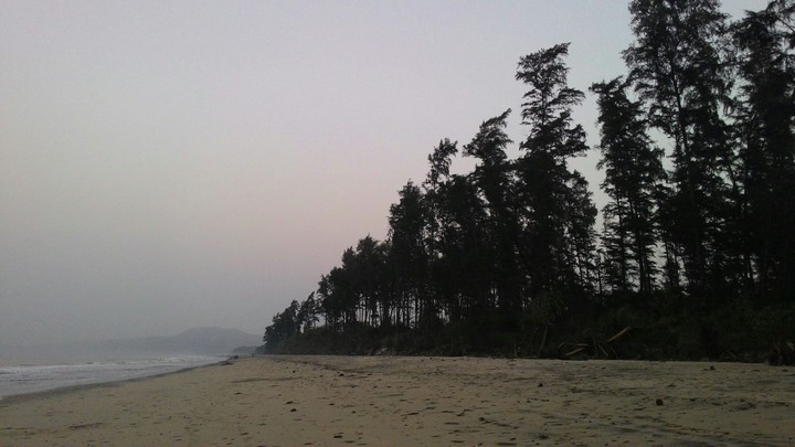 seashor