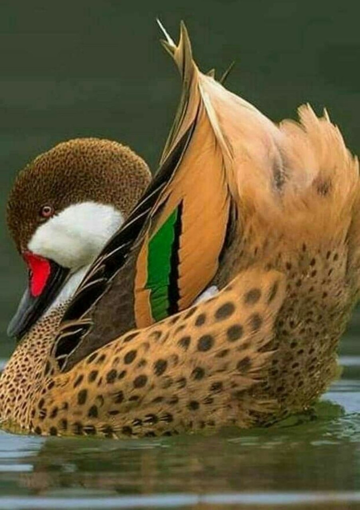 ⭐⭐⭐