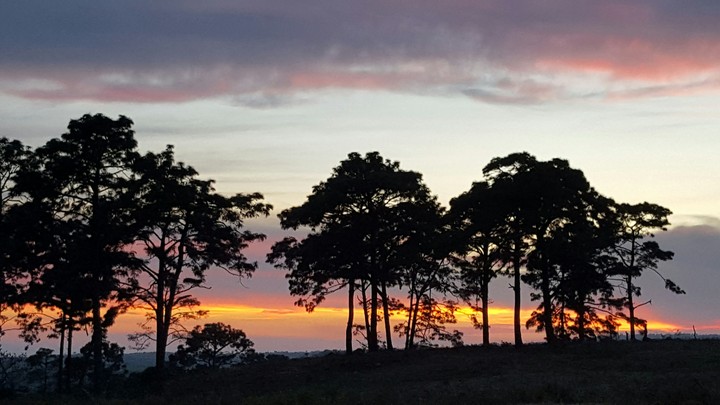 atardecer