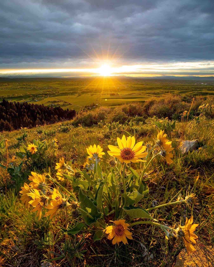 Sunrise