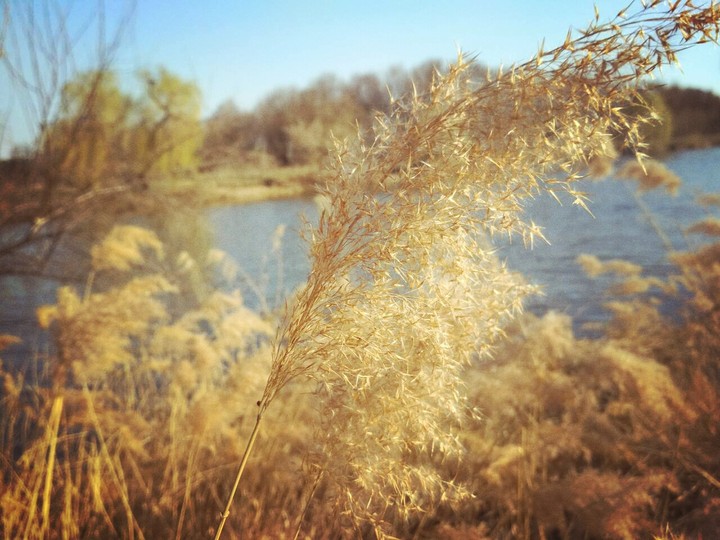 River