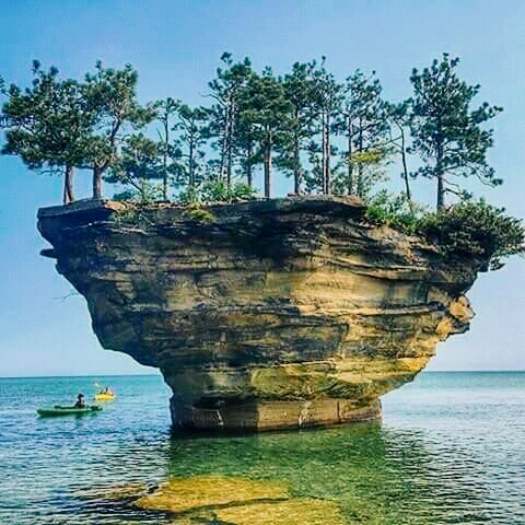 The Beauty of Nature