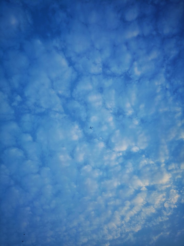 blue sky