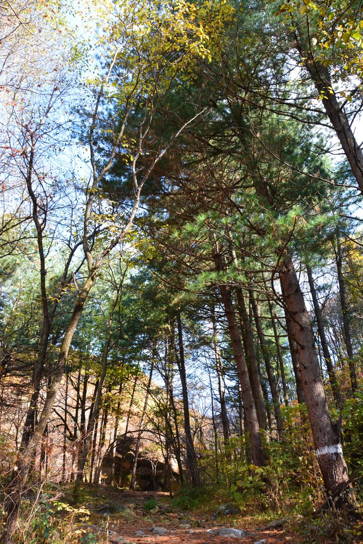 산이미지