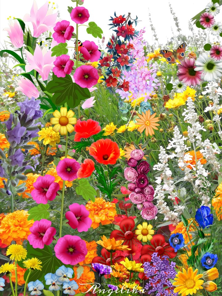 Blumen Wiese
