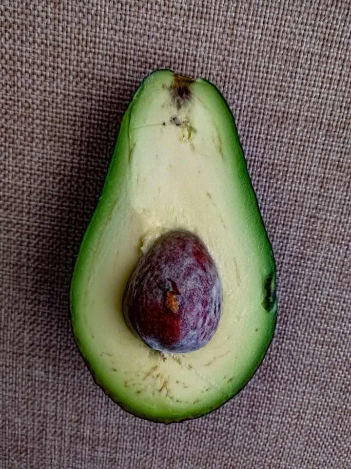 Avocado