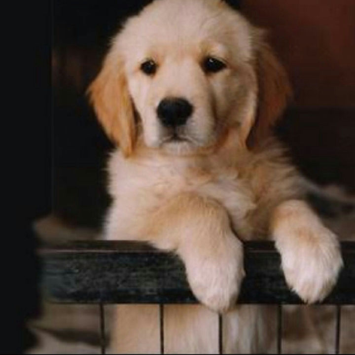 Sad.....& waiting....!!