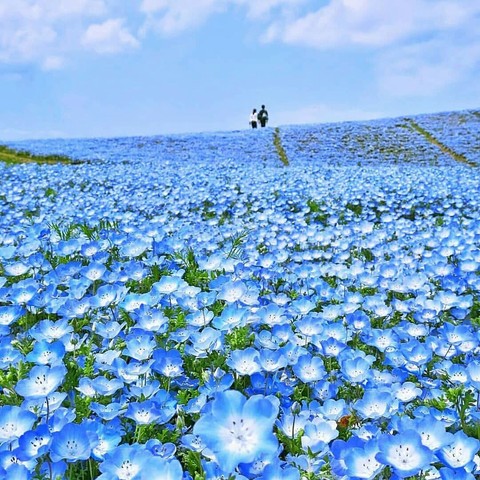 wow amazing