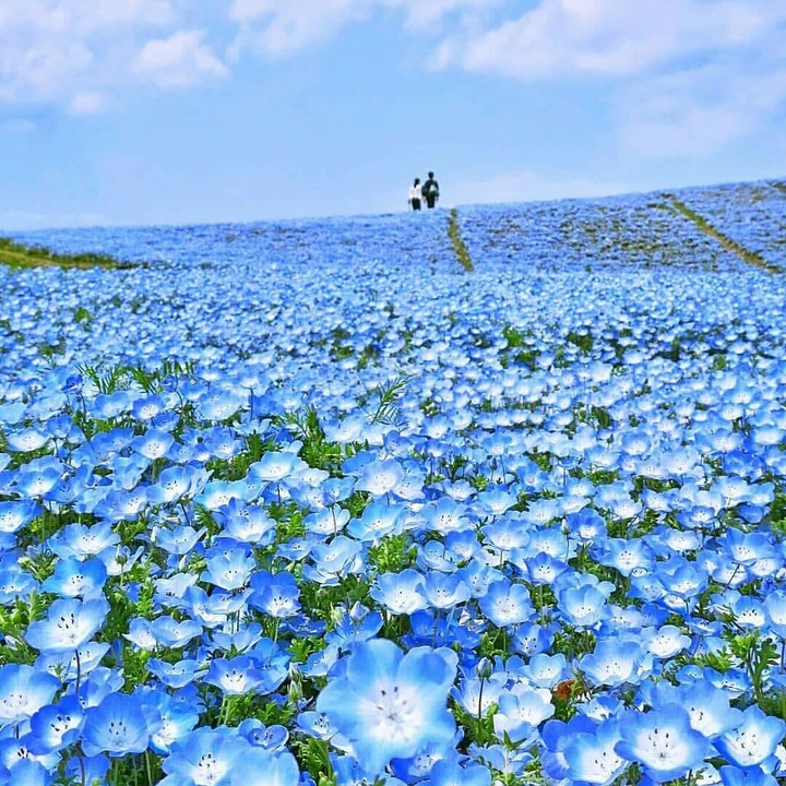 wow amazing