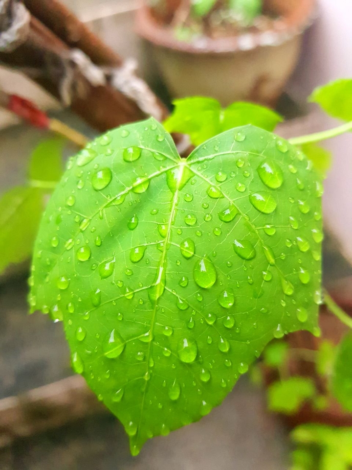 water droplets