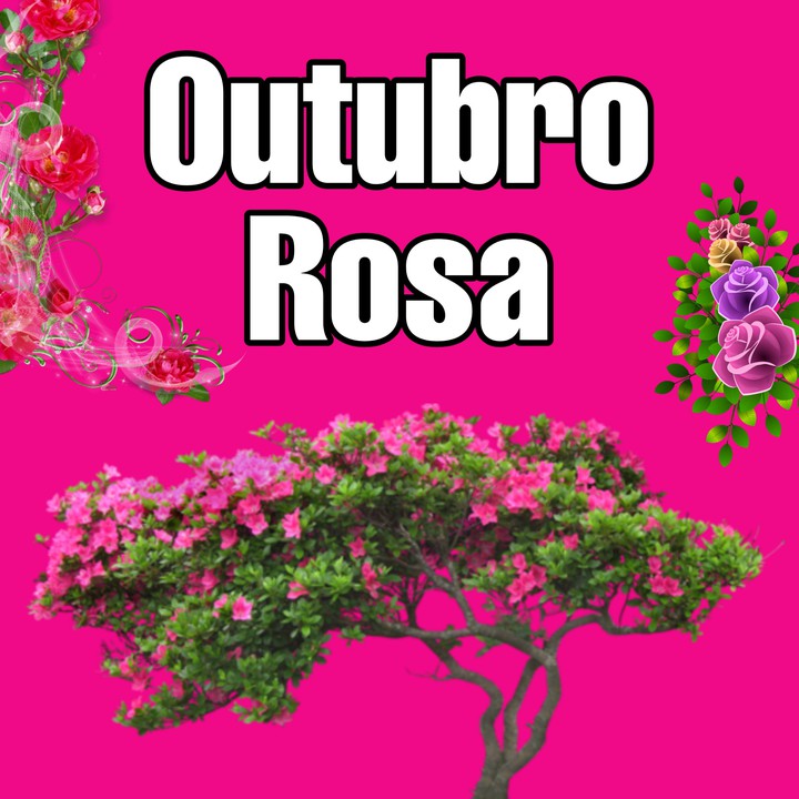 Outubro Rosa