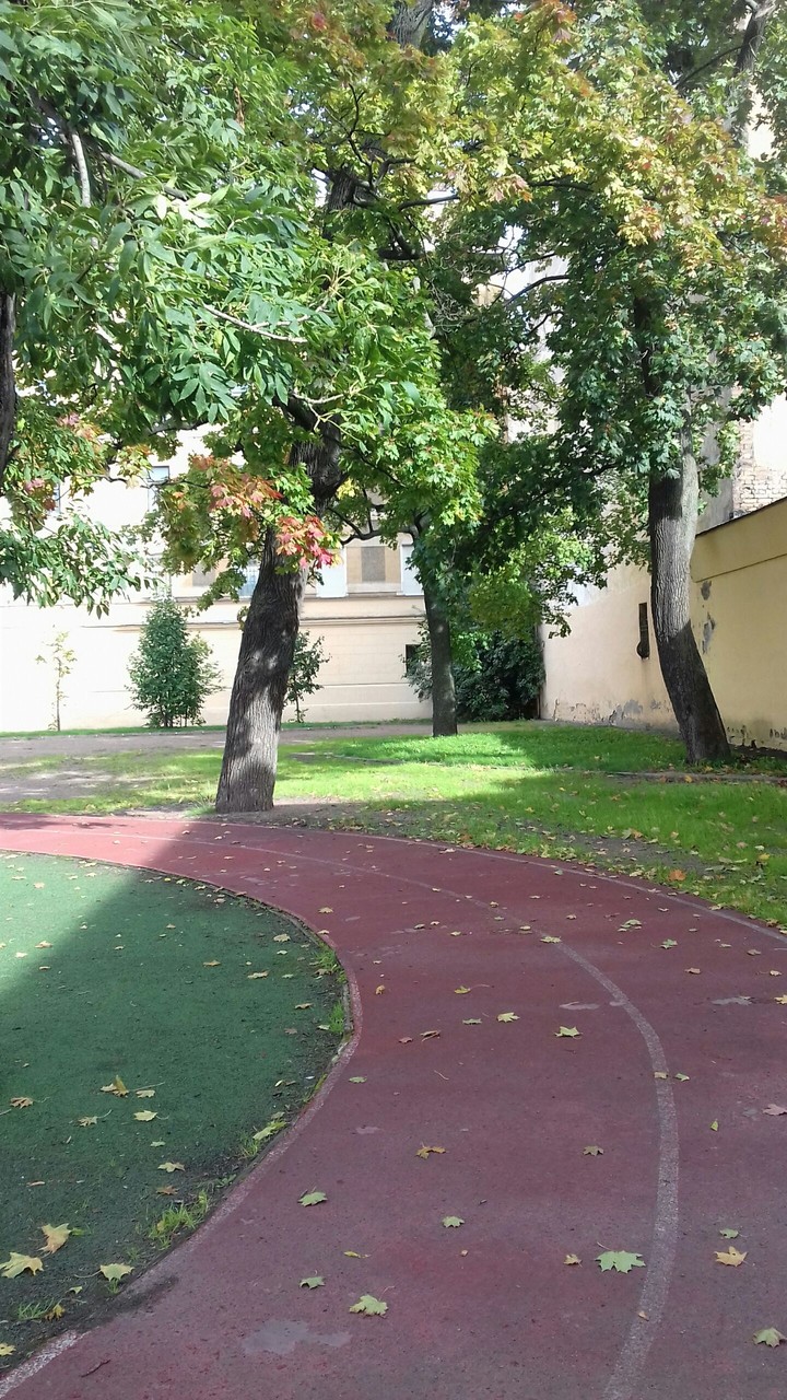 asphalt