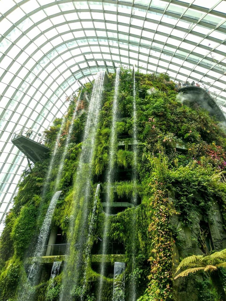 in dubai