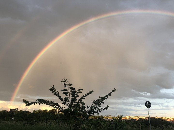 Rainbow