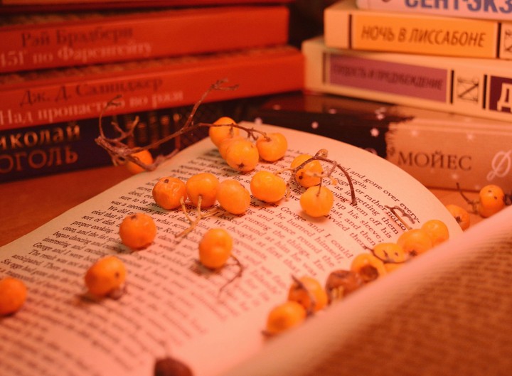 Autumn reading, autumn book, autumn life