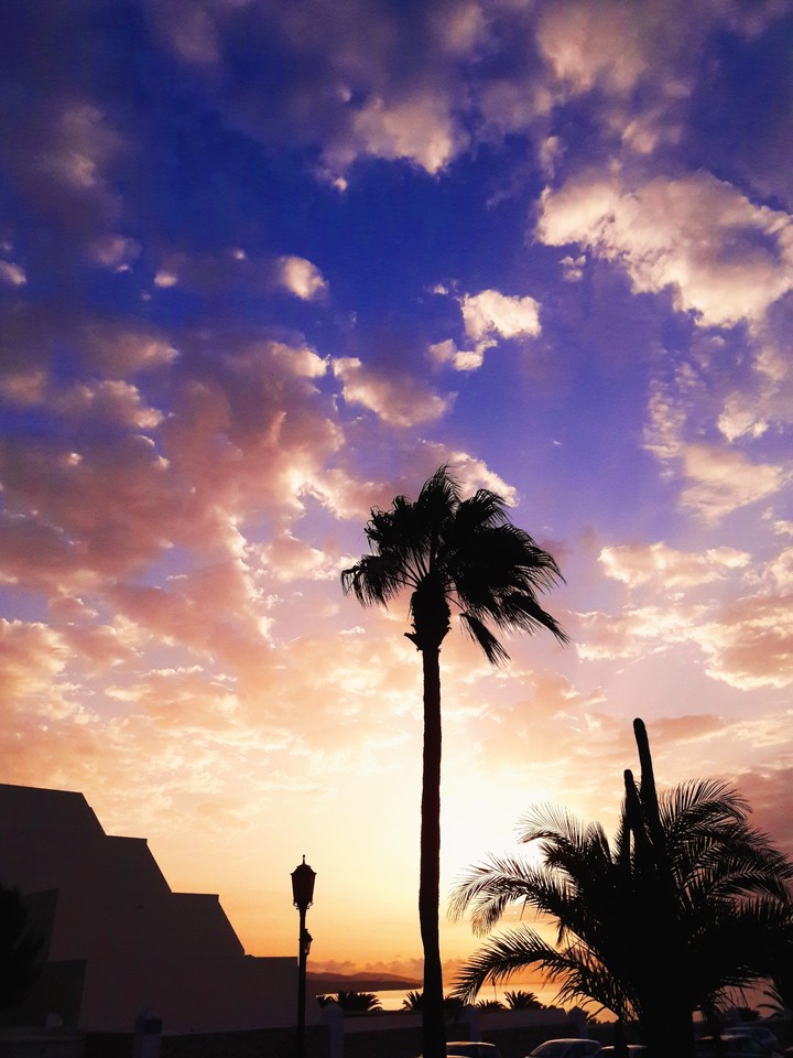 One beautiful morning on Fuerteventura