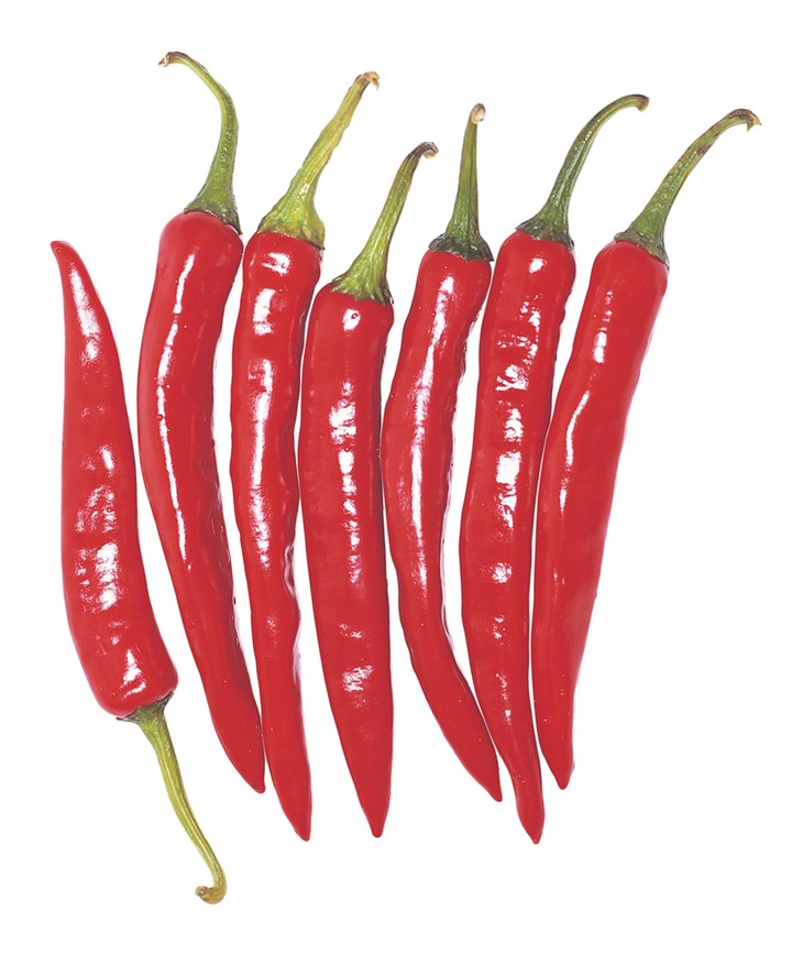 음식