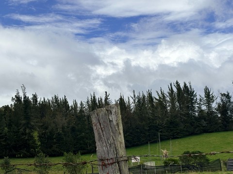 ταπετσαρίες cloud, steppe