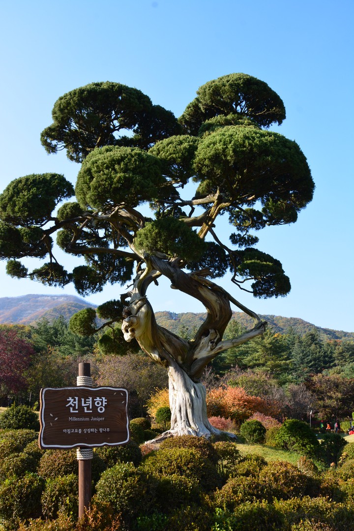 수목원이미지